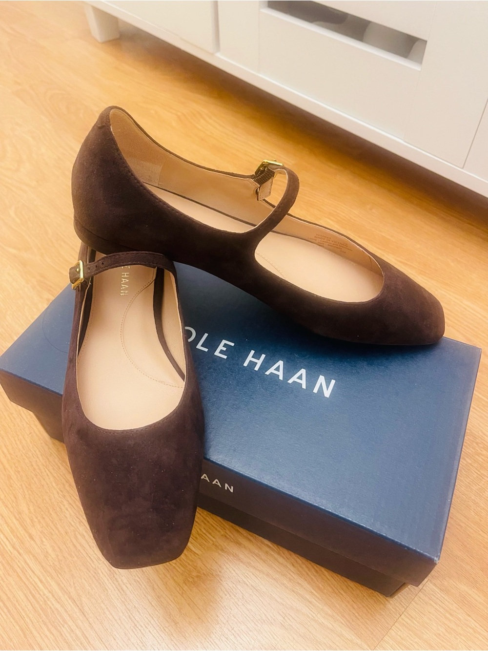 Cole Haan Dark Brown Suede Mary Jane Flats with Gold Buckles